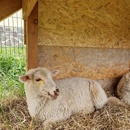 Apartmany Lama Διαμέρισμα Malatiny