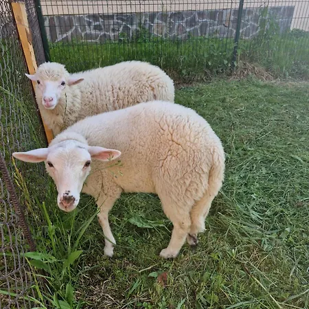 Apartmany Lama * Malatiny